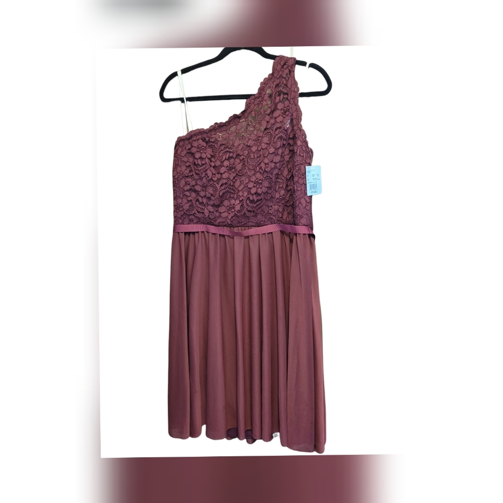 David's Bridal Wine Colored Dress